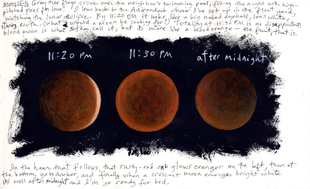 Three different images of an orange moon with a black background during a lunar eclipse on May 15 to 16, 2022. Image times range from 11:20 PM to just after midnight. Accompanying text on the image include the following: "Gray tree frogs croak over the neighbor’s swimming pool, filling the night with high-pitched pleas for love. I lean back in the Adirondack chair I’ve set up in the front yard, watching the lunar eclipse. By 11:20 p.m., it looks like a big, naked eyeball, lens white, staring south. (What would a moon be looking for?) Totality at 11:30 p.m. is no disappointment: blood moon is what they call it, but it’s more like a blood orange—the fruit, that is. In the hour that follows, that rusty-red orb glows orangier on the left, then at the bottom gets darker, and finally when a crescent moon emerges bright white, it’s well after midnight and I’m so ready for bed."