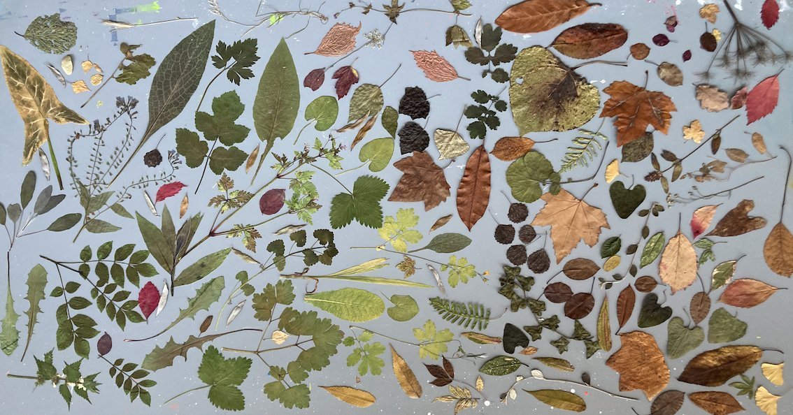A surface covered in leaves, some are green, some are brown and dried, some have multiple leaves from one stem, others are a single leaf. All the leaves have been flattened and laid out together like a mosaic onto a light blue surface.